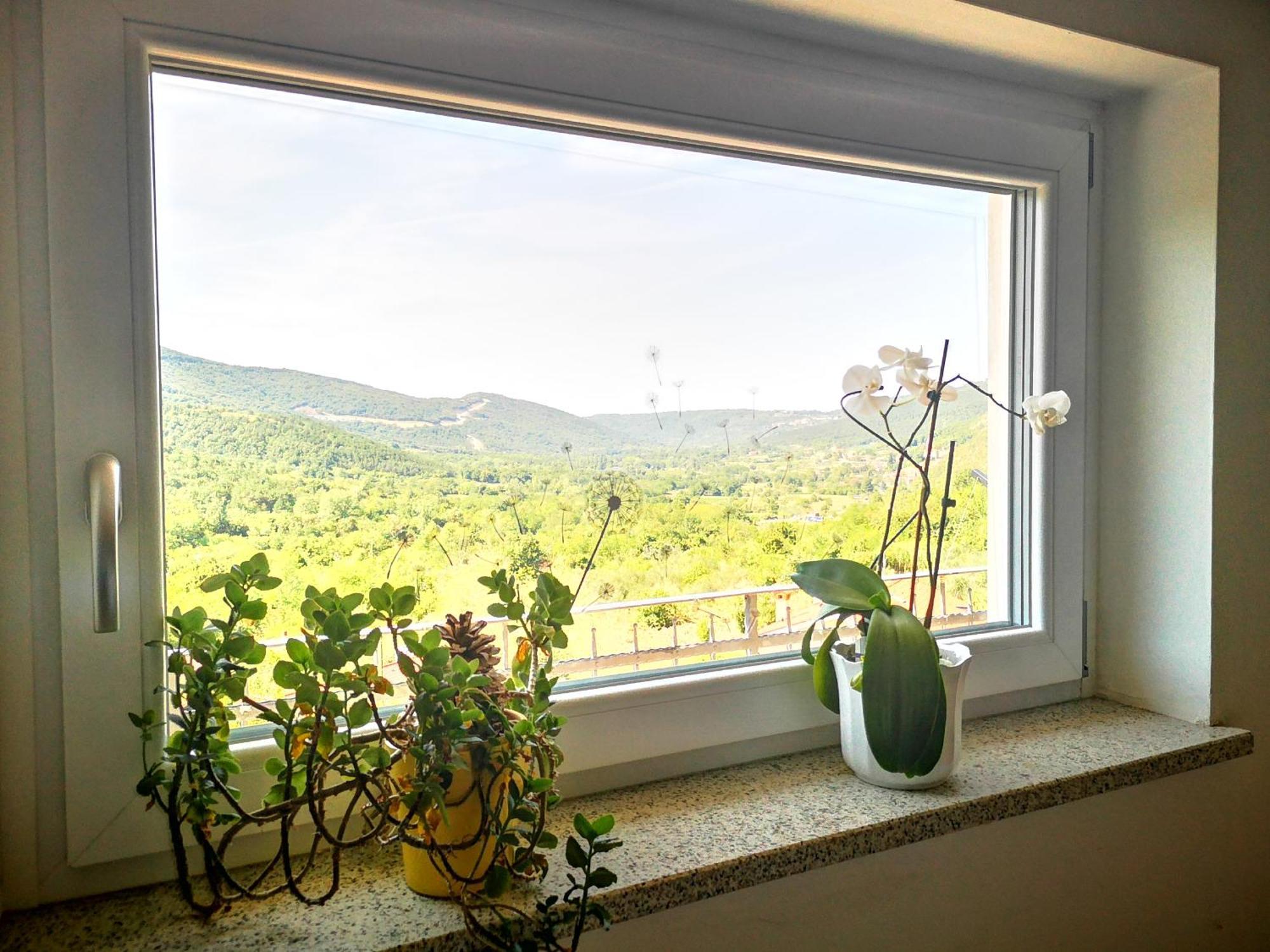 Apartma Ceh Gabrovica pri Črnem Kalu Exterior photo